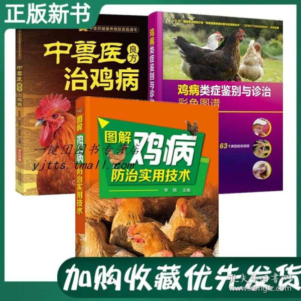 鸡病的种类及治疗