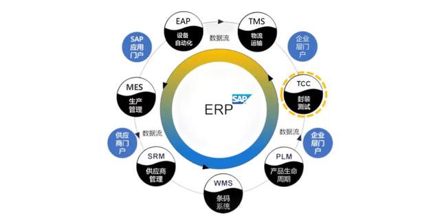 ELP重量，探索其重要性与应用领域