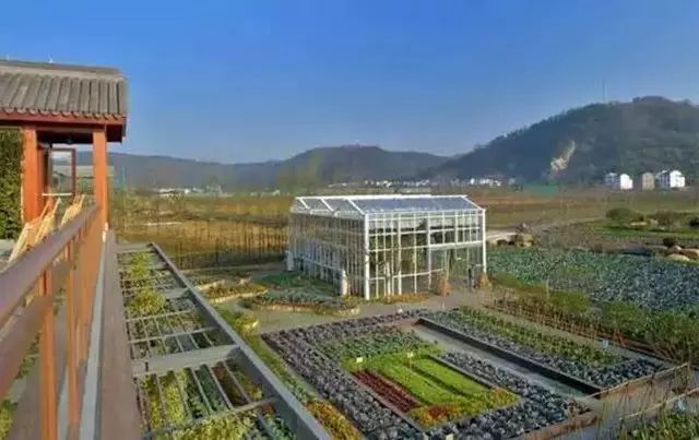 留学建筑专业，探索、挑战与未来的无限可能