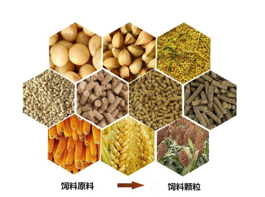 肉鸡颗粒料种类及其应用