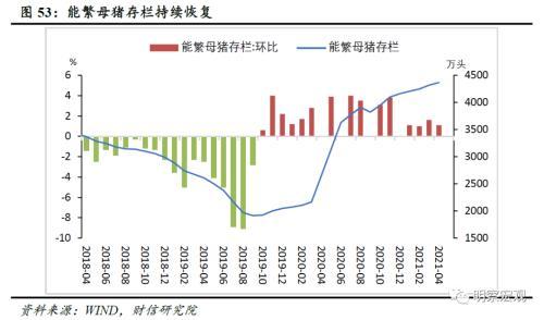 卓纸张价格，市场趋势、影响因素及未来展望