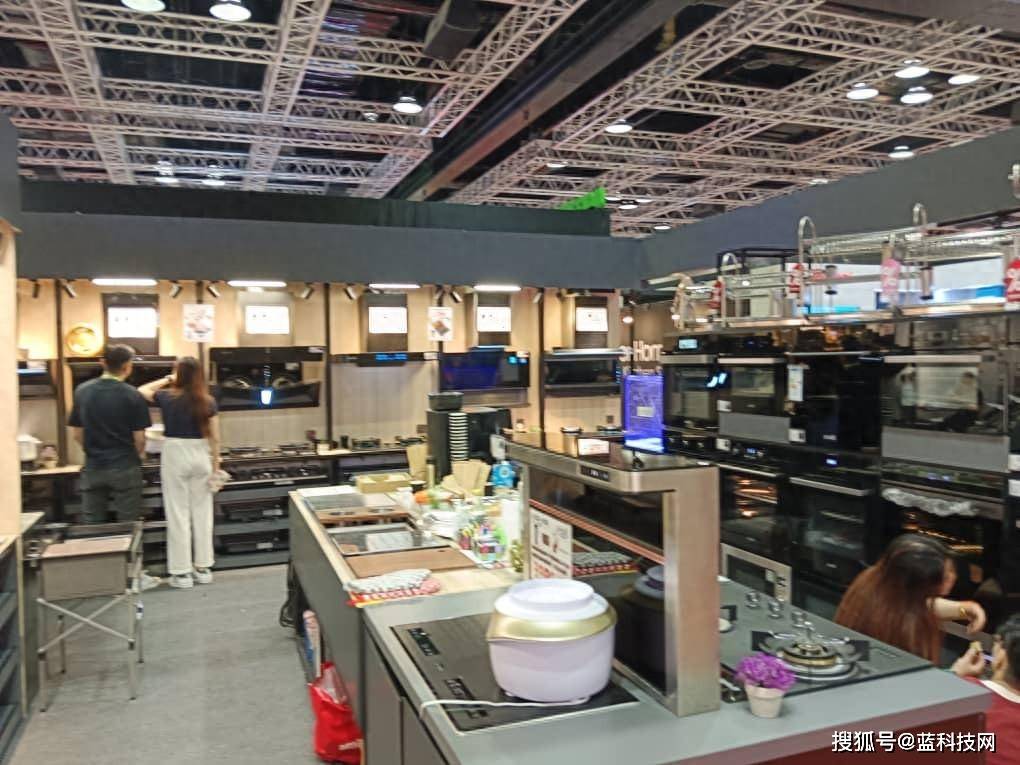广东惠普厨卫电器厂的崛起与未来展望
