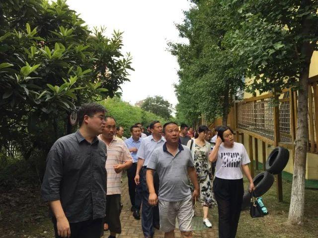 特殊乘客坐飞机的独特体验