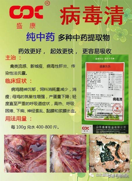 法氏囊病毒种类及其特性研究