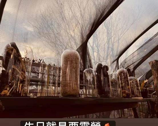 华语之黄金年代，一个璀璨的文化繁荣时代