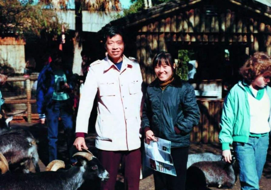 王小波与黄金时代的数字传奇，下载的魅力