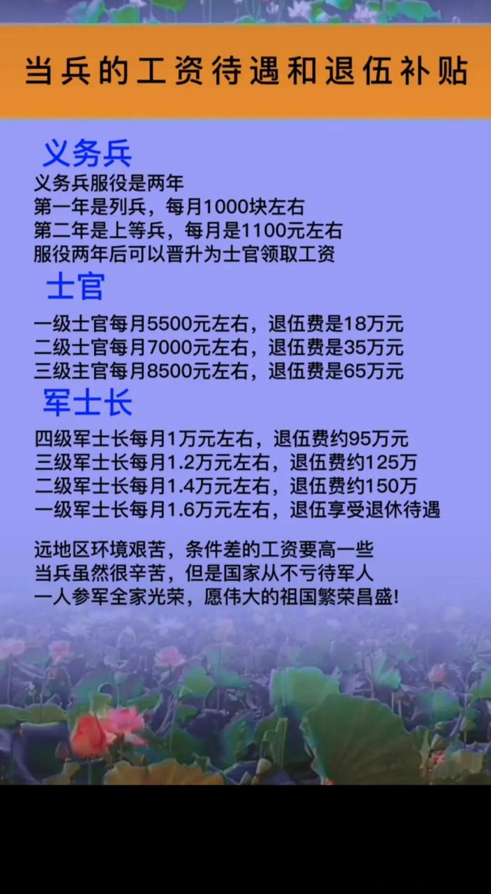 上士退伍待遇，荣誉与权益的保障