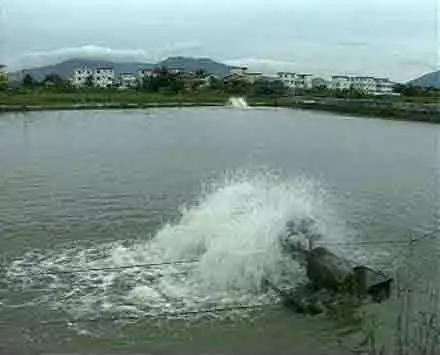 淡水养殖大棚设备，推动水产养殖现代化的关键要素