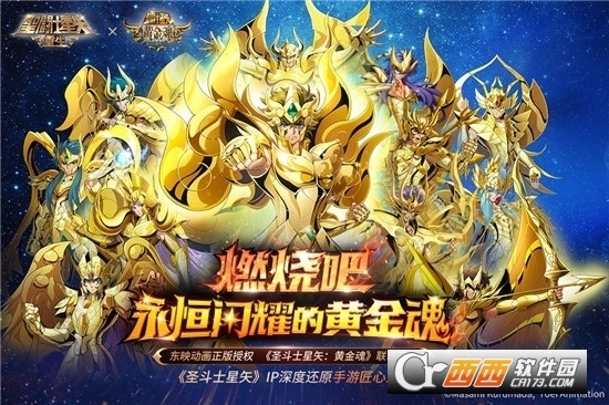 重生黄金圣斗士，星之荣耀的觉醒