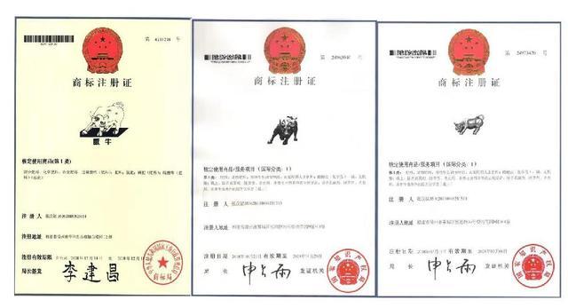 关于牛的商标图案牛，象征与创意的融合