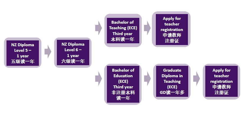 新西兰的专业大全概览