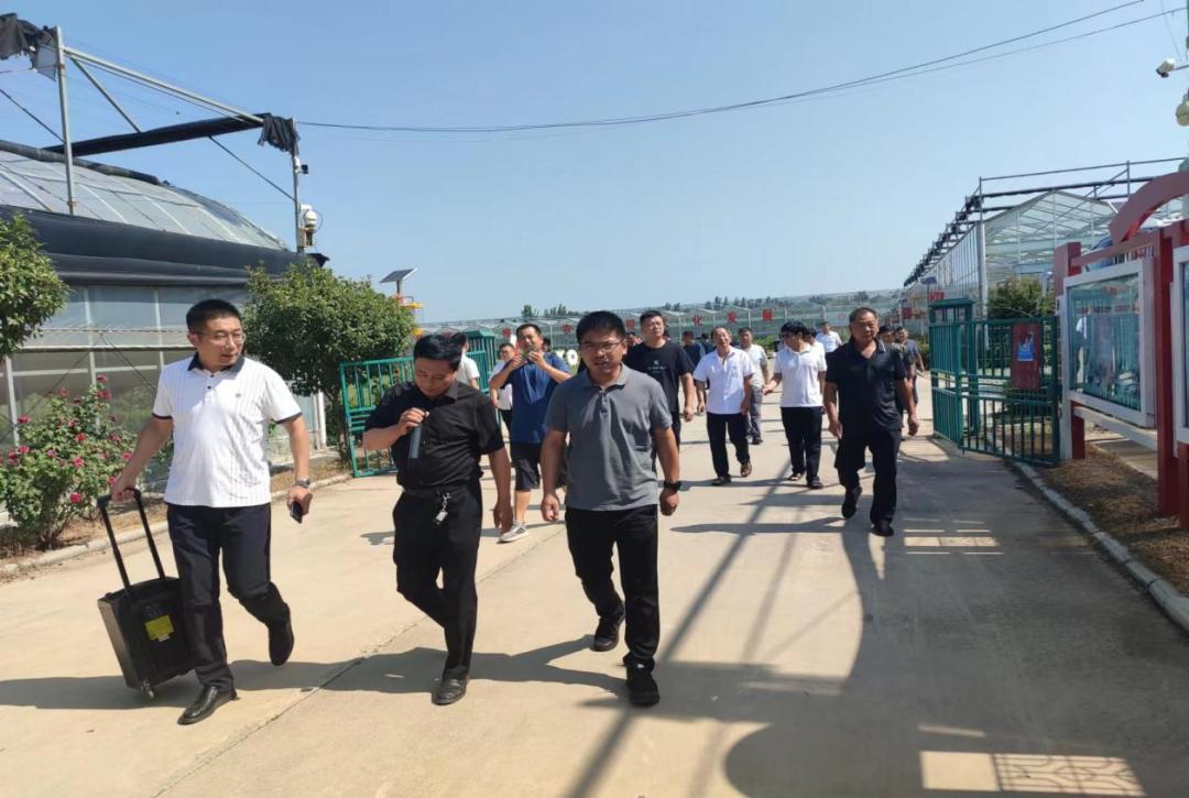 大棚养加州鲈，高效养殖新模式