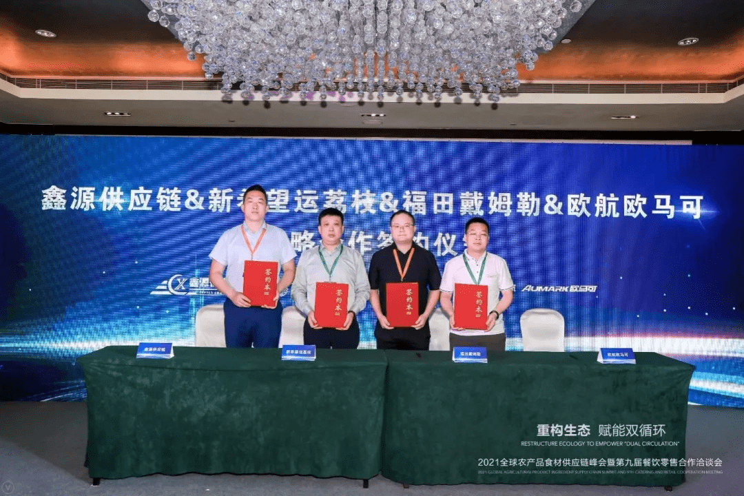 最专业的移民机构，引领未来的移民服务先锋