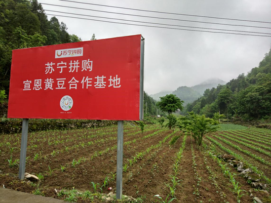 开局一百个农民，探索乡村振兴的新篇章