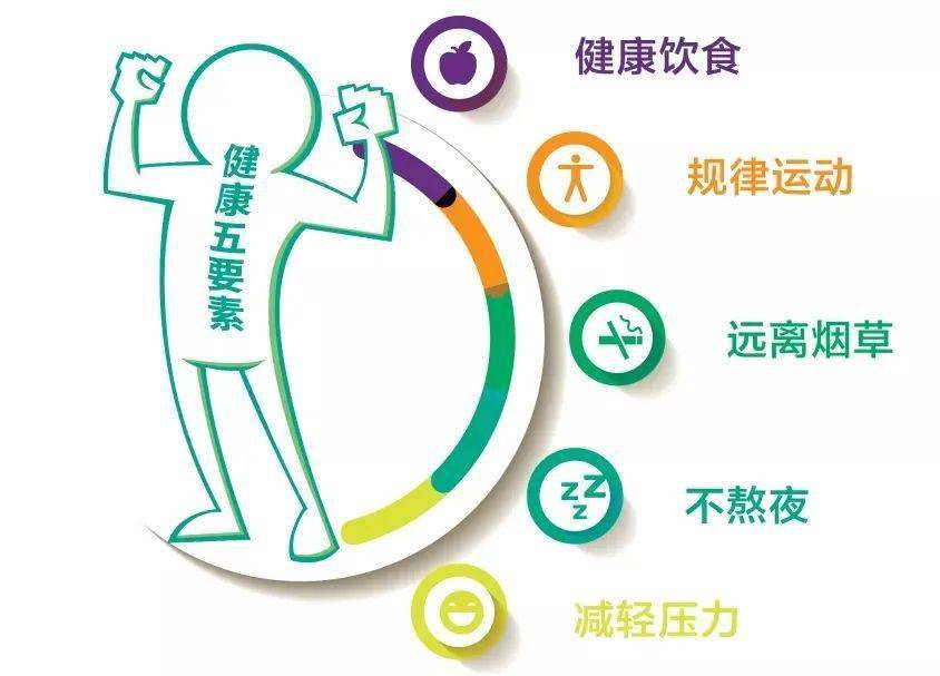麦丫健身，塑造健康生活的力量之源