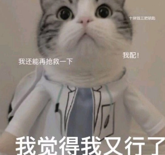乖乖等你，表情包的情感传递与沟通魅力
