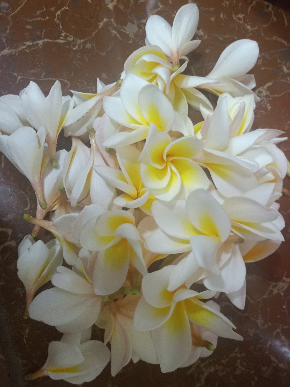 油炸鸡蛋花的独特魅力与制作方法