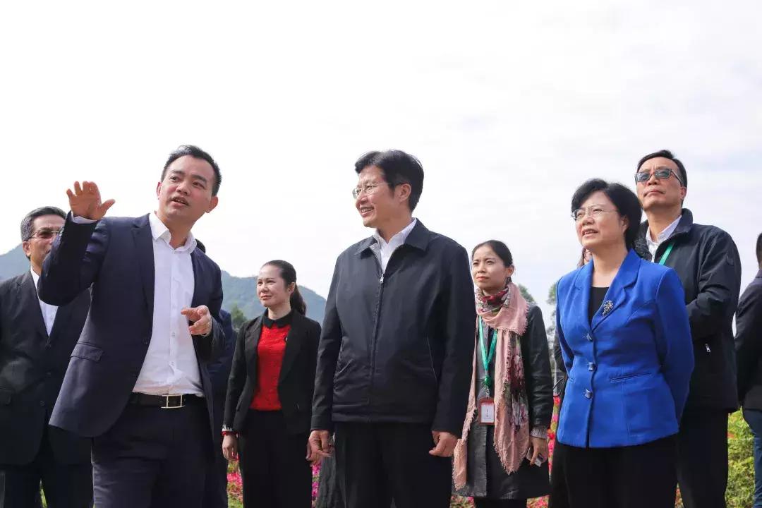 广西绿化苗木品种，多彩自然的绿色宝藏
