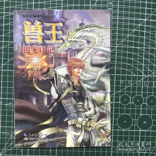 兽王银龙印记的下一本，探寻未知的奇幻世界