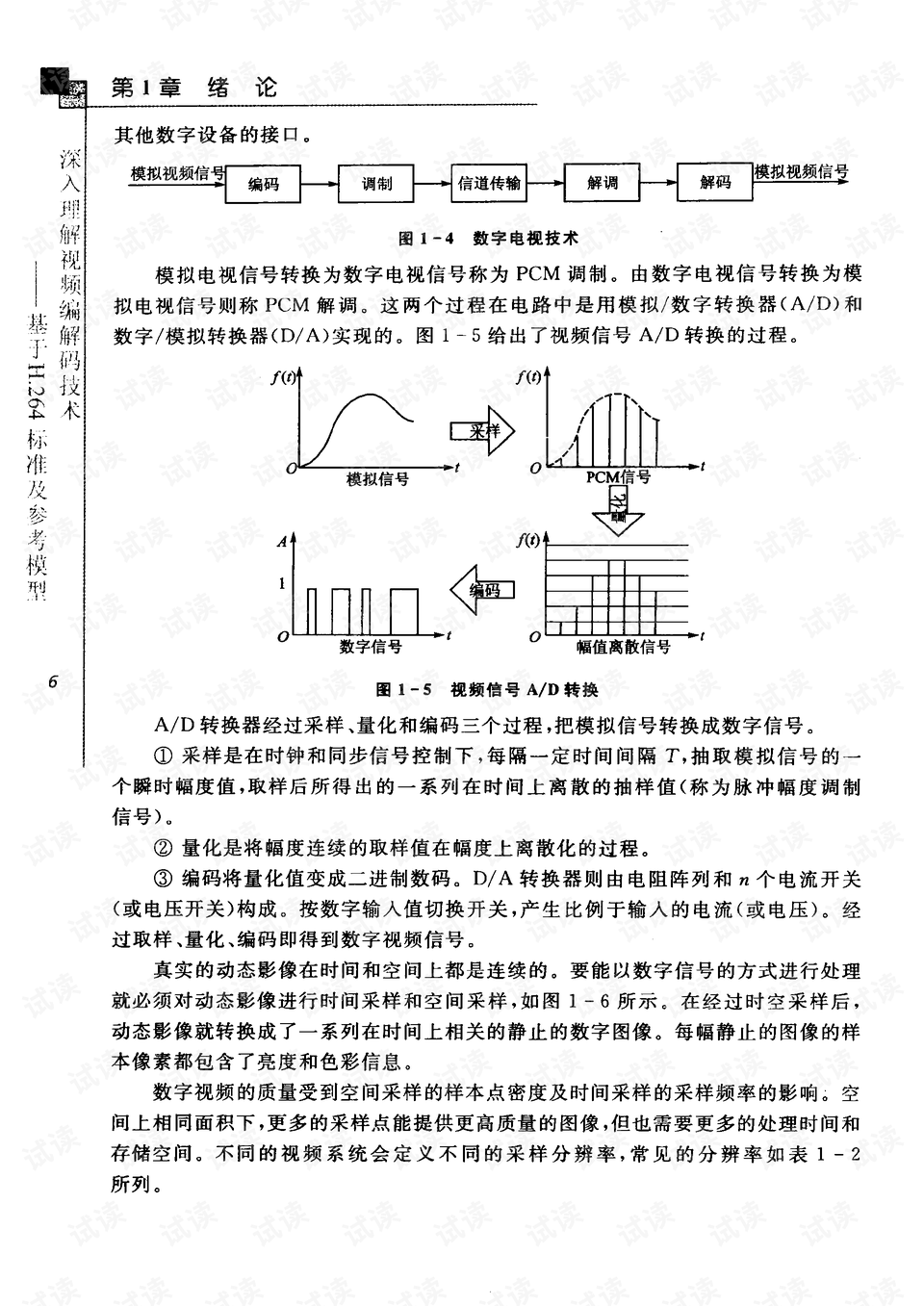杨树品种及其价格表，深入了解与全面解析