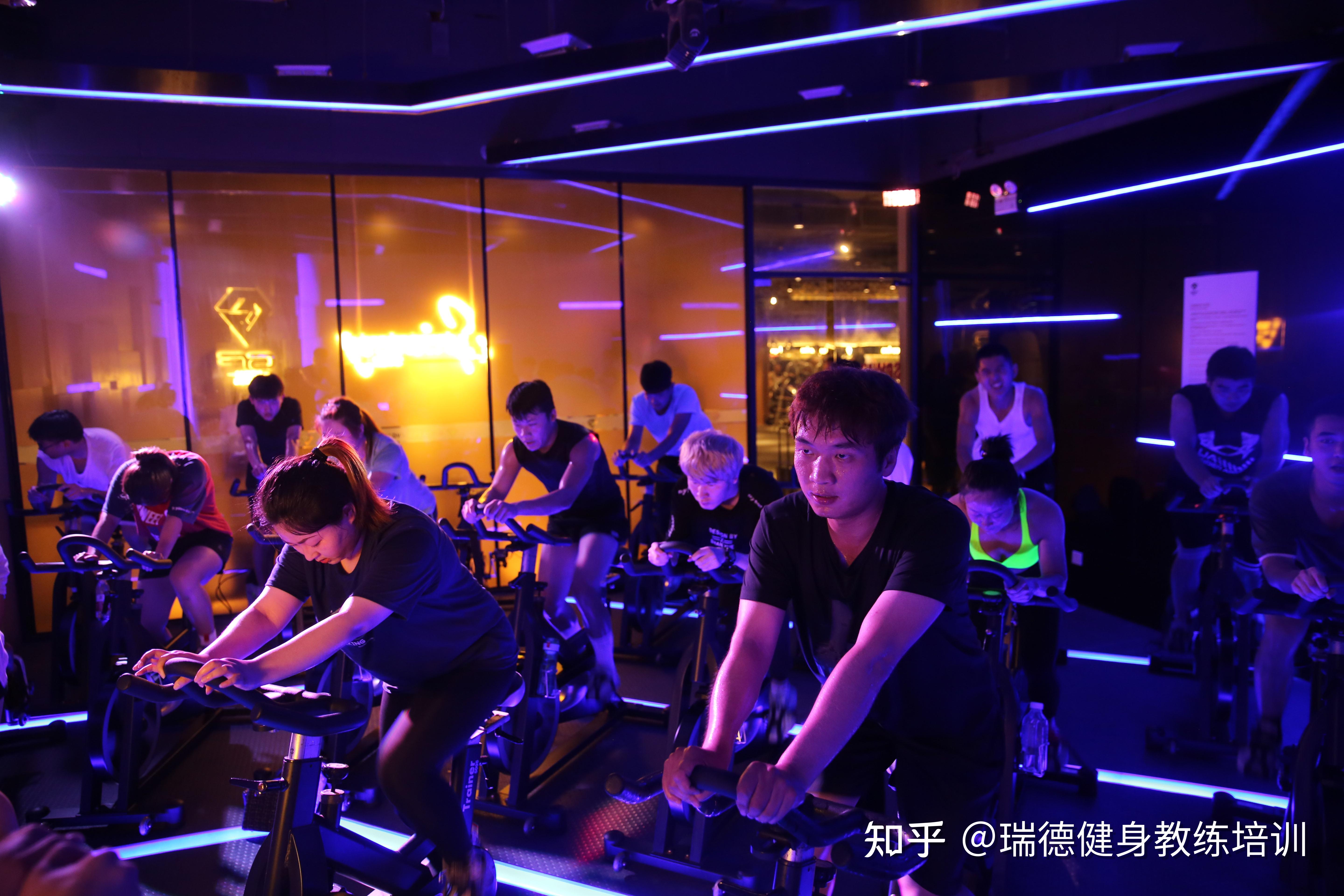 健身房工作的体验与洞察