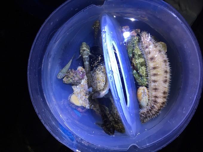 海鲜蛋花粥，美味与健康共舞