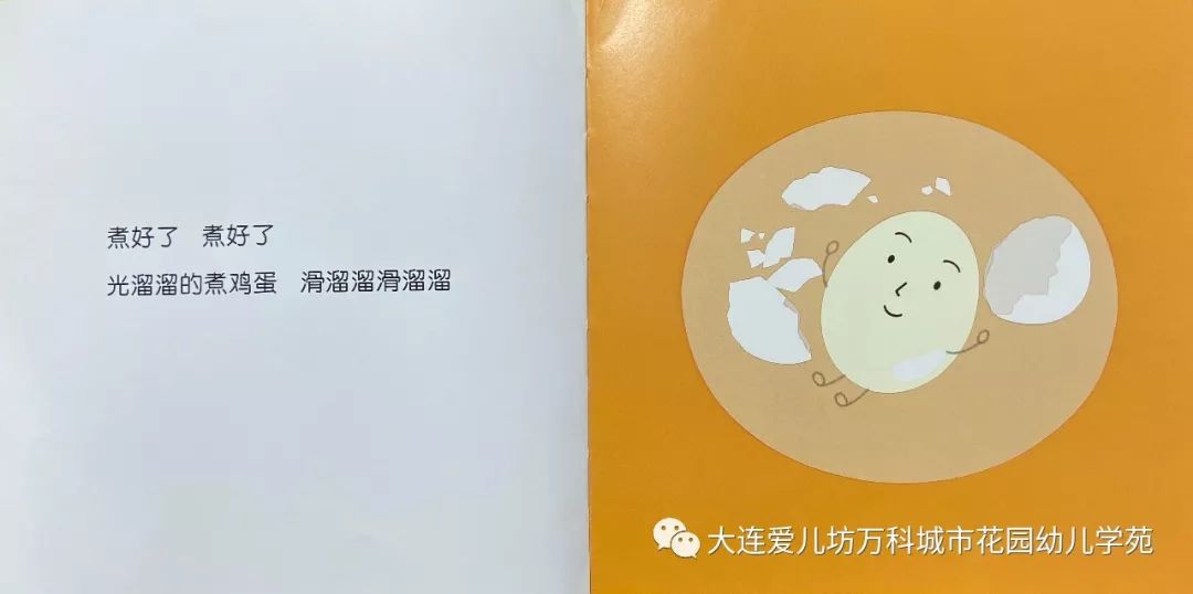蛋花儿的奇妙世界