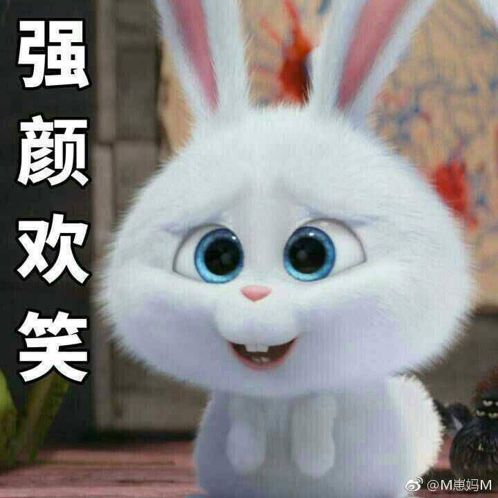 提比表情包，从虚拟世界到现实生活的情感传递者