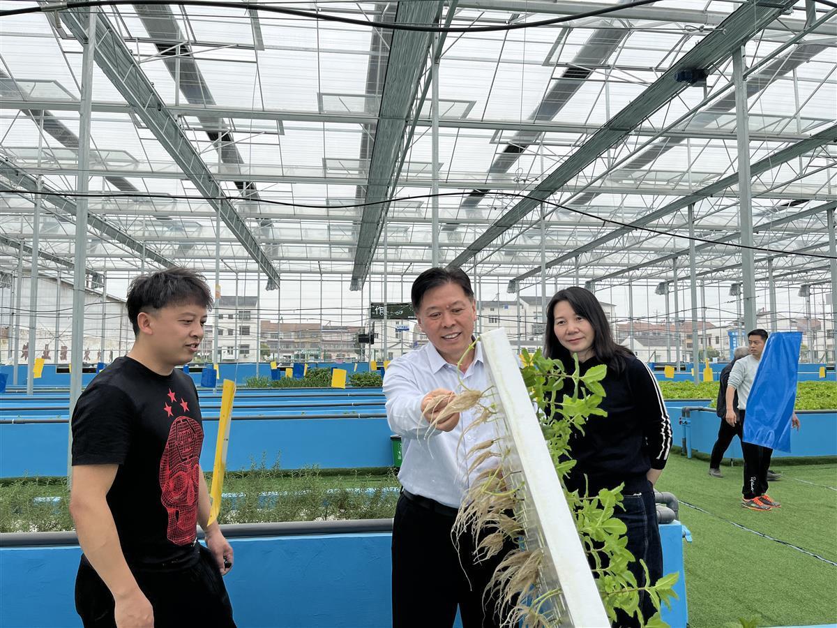 玻璃自动门武汉，科技与美学的融合典范