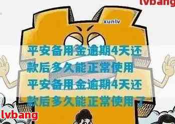 平安备用金发票的重要性及其管理应用