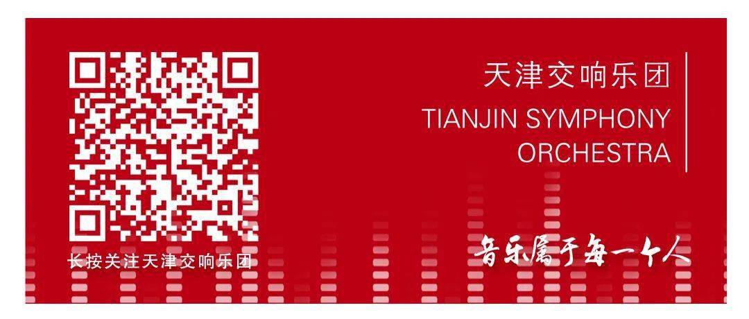 Envyu冠军阵容，铸就辉煌的团队力量