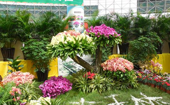 西安的花木代表品种